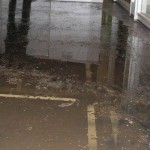 Wat is een verzekering wa