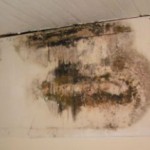 Waterschade